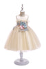 Load image into Gallery viewer, A Line Jewel Blush Flower Girl Dress with Appliques