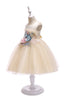 Load image into Gallery viewer, A Line Jewel Blush Flower Girl Dress with Appliques