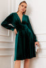 Load image into Gallery viewer, Dark Green Velvet Party Dress