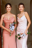 Sheath Spaghetti Straps Blush Bridesmaid Dress