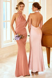 Mermaid Brown Halter Bridesmaid Dress