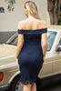 Load image into Gallery viewer, Navy Bodycon Lace 1960s Dress