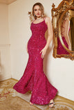 Hot Pink Sequin Mermaid Plus Size Prom Dress with Lac-up Back