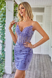 Sparkly Purple Corset Graduation Dress with Appliques