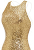 Load image into Gallery viewer, Bodycon Golden Sequins Cocktail Dress Open Back